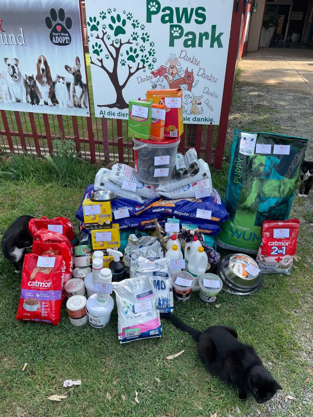 Potchefstroom Animal Welfare Society (P.A.W.S